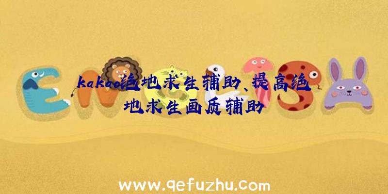 kakao绝地求生辅助、提高绝地求生画质辅助