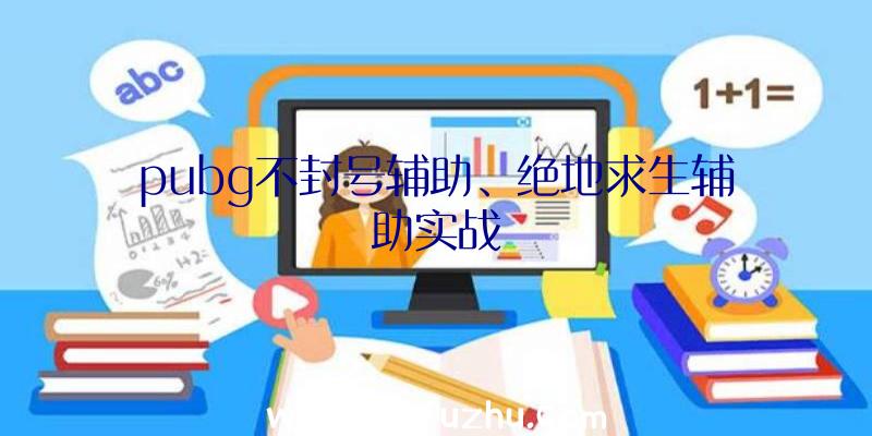 pubg不封号辅助、绝地求生辅助实战