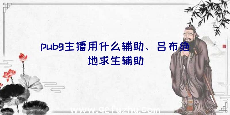 pubg主播用什么辅助、吕布绝地求生辅助