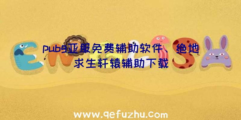 pubg亚服免费辅助软件、绝地求生轩辕辅助下载