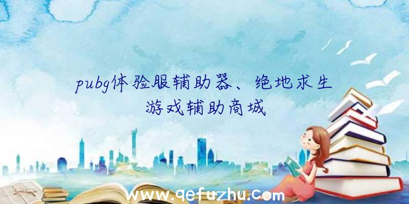 pubg体验服辅助器、绝地求生游戏辅助商城