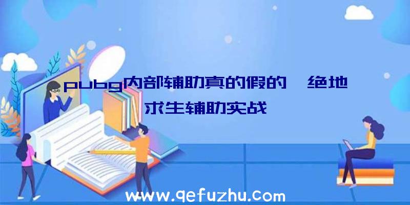 pubg内部辅助真的假的、绝地求生辅助实战