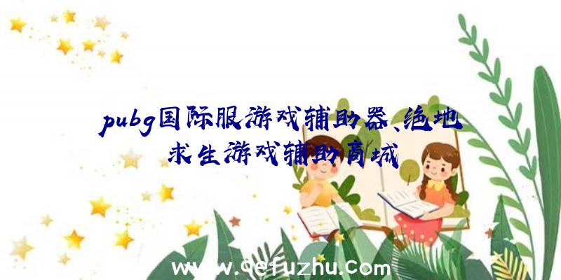 pubg国际服游戏辅助器、绝地求生游戏辅助商城