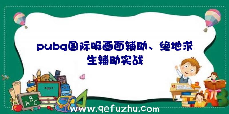 pubg国际服画面辅助、绝地求生辅助实战