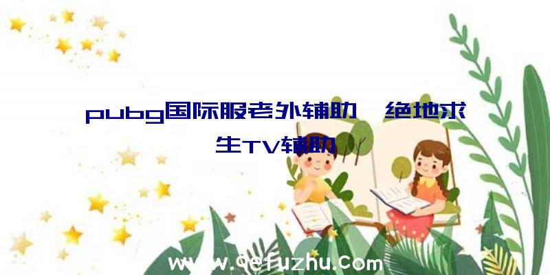 pubg国际服老外辅助、绝地求生TV辅助