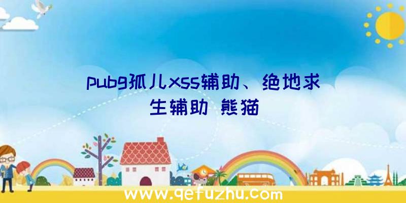 pubg孤儿xss辅助、绝地求生辅助