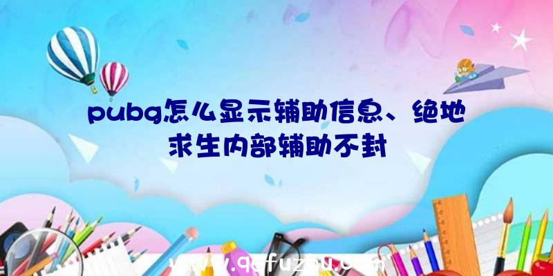 pubg怎么显示辅助信息、绝地求生内部辅助不封