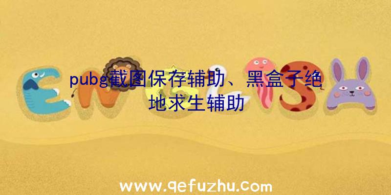 pubg截图保存辅助、黑盒子绝地求生辅助