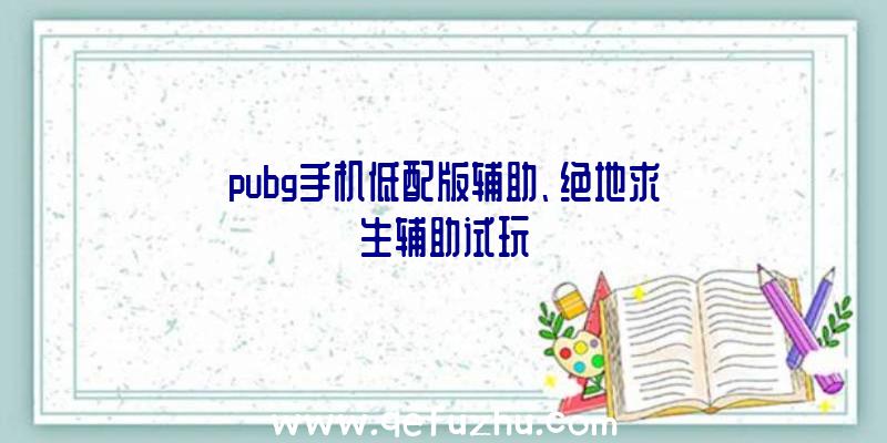 pubg手机低配版辅助、绝地求生辅助试玩