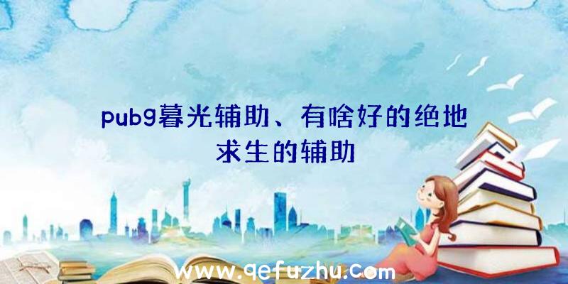 pubg暮光辅助、有啥好的绝地求生的辅助