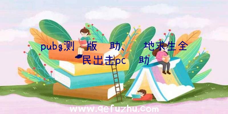 pubg测试版辅助、绝地求生全民出击pc辅助