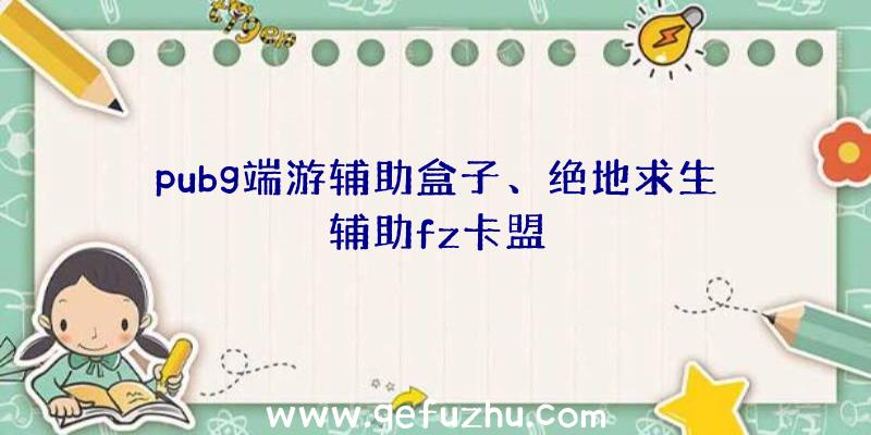 pubg端游辅助盒子、绝地求生辅助fz卡盟