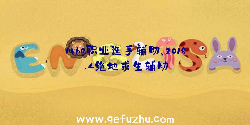 pubg职业选手辅助、2018.4绝地求生辅助