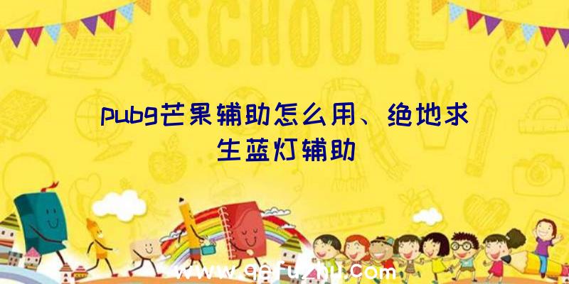 pubg芒果辅助怎么用、绝地求生蓝灯辅助