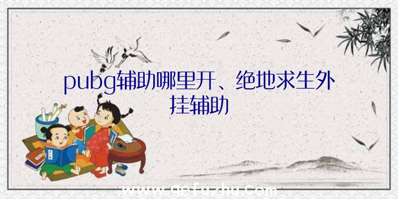 pubg辅助哪里开、绝地求生外挂辅助
