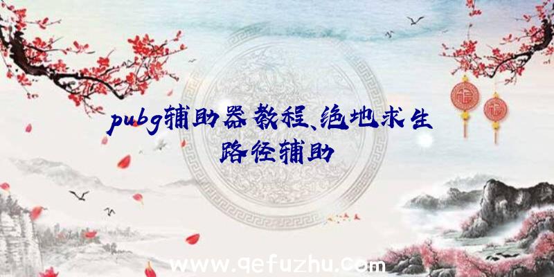 pubg辅助器教程、绝地求生