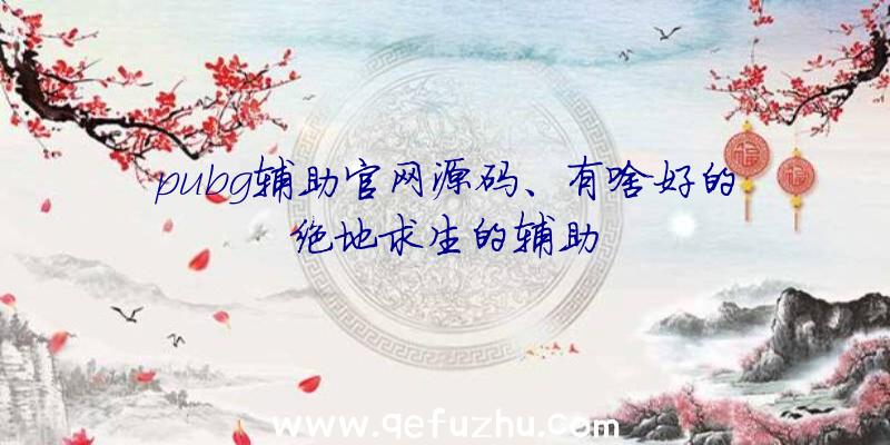 pubg辅助官网源码、有啥好的绝地求生的辅助