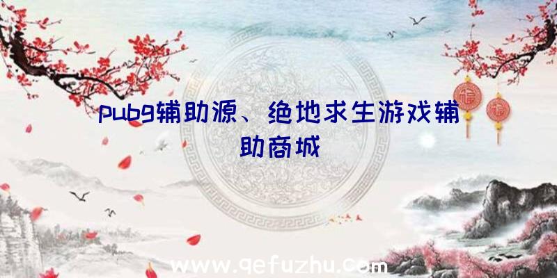 pubg辅助源、绝地求生游戏辅助商城
