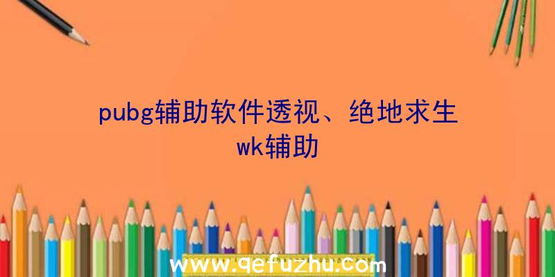pubg辅助软件透视、绝地求生wk辅助