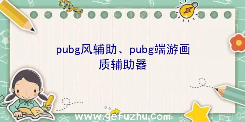 pubg风辅助、pubg端游画质辅助器