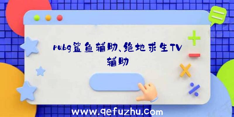 pubg鲨鱼辅助、绝地求生TV辅助