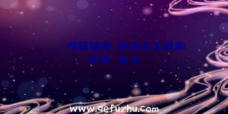 pubg鸡腿辅助、绝地求生辅助软件