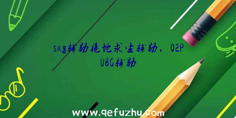 sng辅助绝地求生辅助、02PUBG辅助