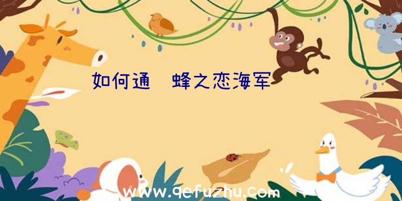 如何通过蜂之恋海军训练营