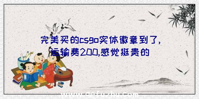 完美买的csgo实体徽章到了,运输费200,感觉挺贵的