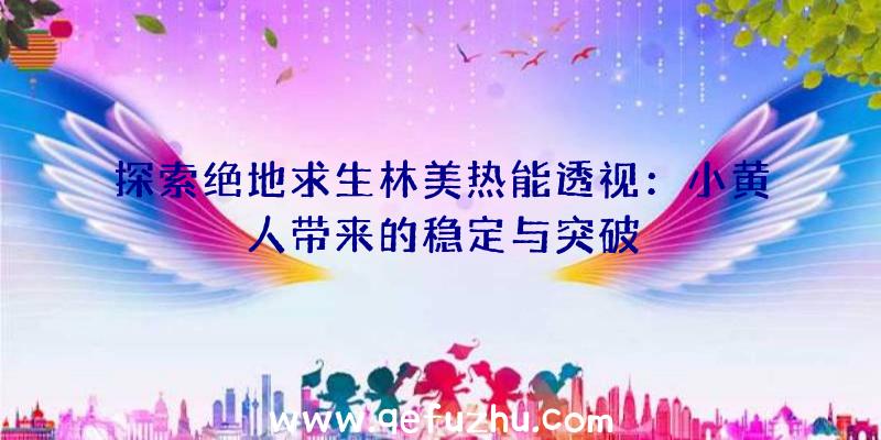 探索绝地求生林美热能透视：小黄人带来的稳定与突破