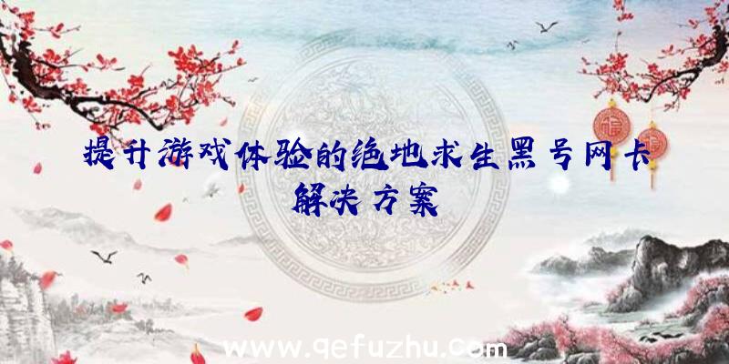 提升游戏体验的绝地求生黑号网卡解决方案