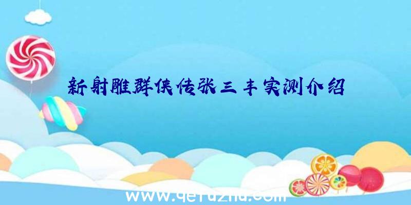 新射雕群侠传张三丰实测介绍
