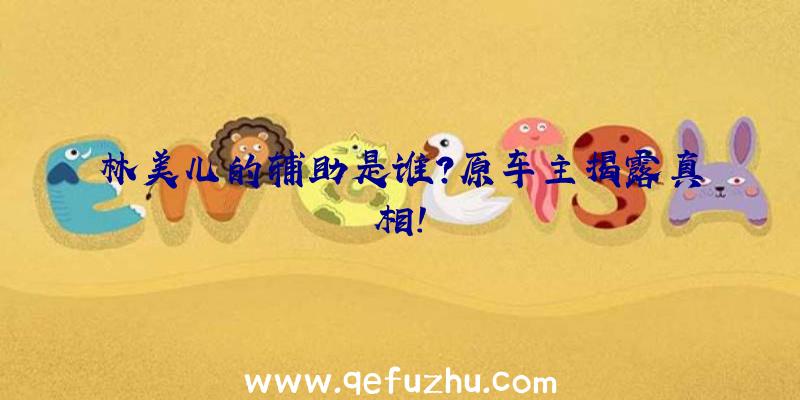 林美儿的辅助是谁？原车主揭露真相！