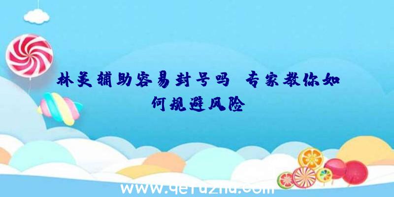 林美辅助容易封号吗？专家教你如何规避风险！