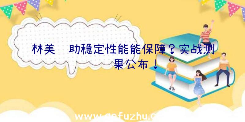 林美辅助稳定性能能保障？实战测试结果公布！