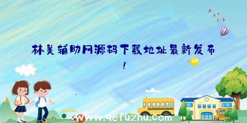 林美辅助网源码下载地址最新发布！