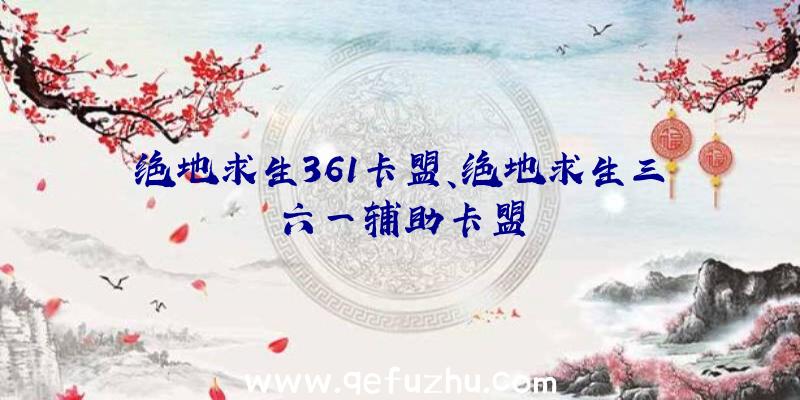 绝地求生361卡盟、绝地求生三六一辅助卡盟