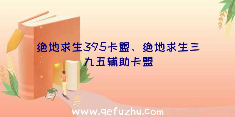 绝地求生395卡盟、绝地求生三九五辅助卡盟