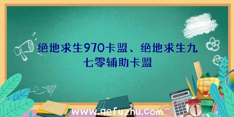 绝地求生970卡盟、绝地求生九七零辅助卡盟