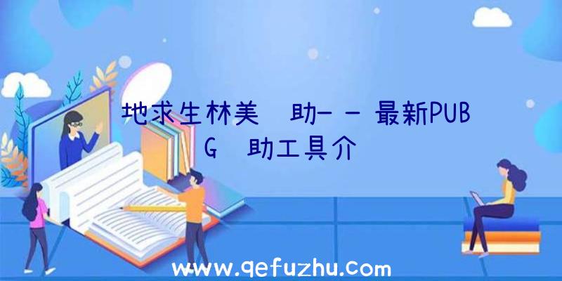 绝地求生林美辅助——最新PUBG辅助工具介绍