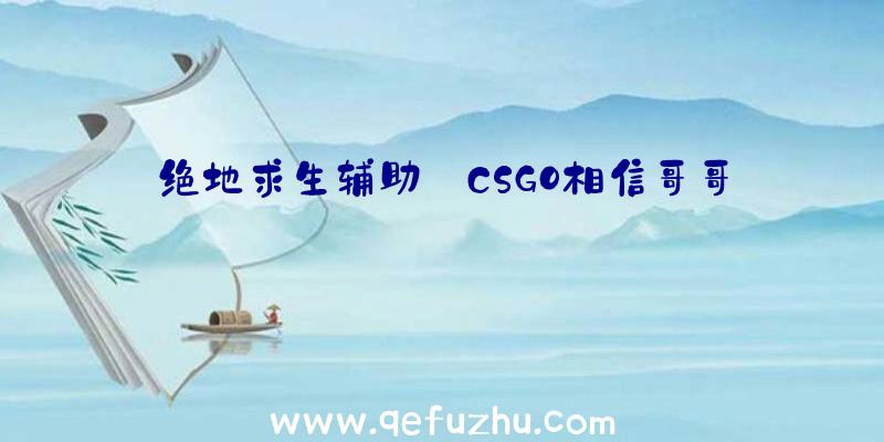 绝地求生辅助:CSGO相信哥哥