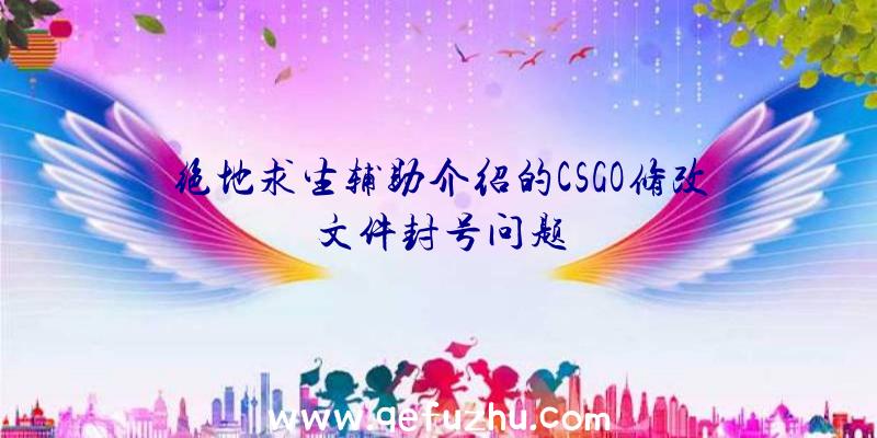 绝地求生辅助介绍的CSGO修改文件封号问题