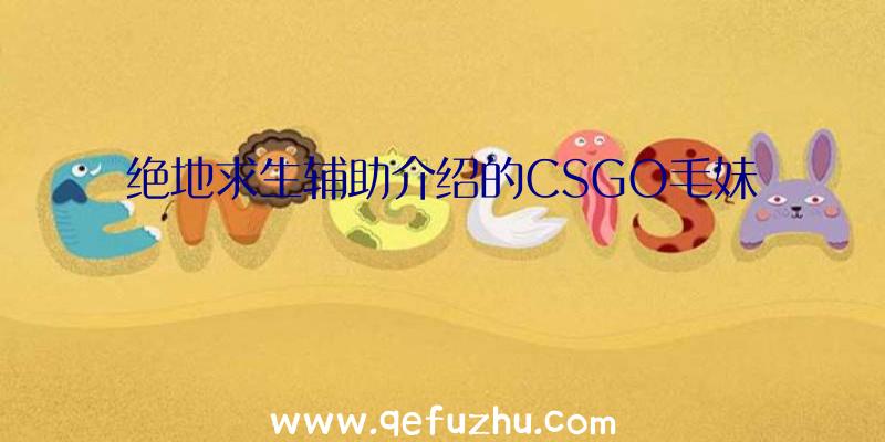 绝地求生辅助介绍的CSGO毛妹