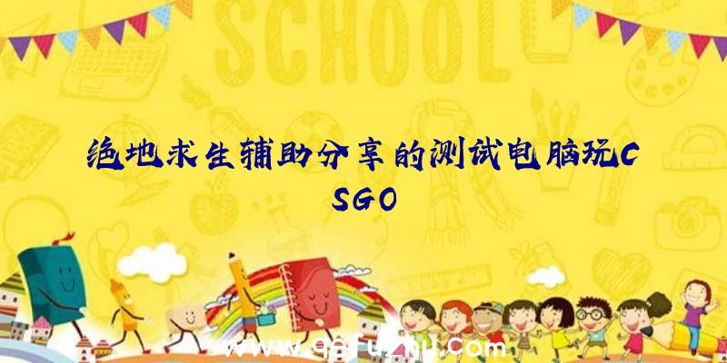 绝地求生辅助分享的测试电脑玩CSGO