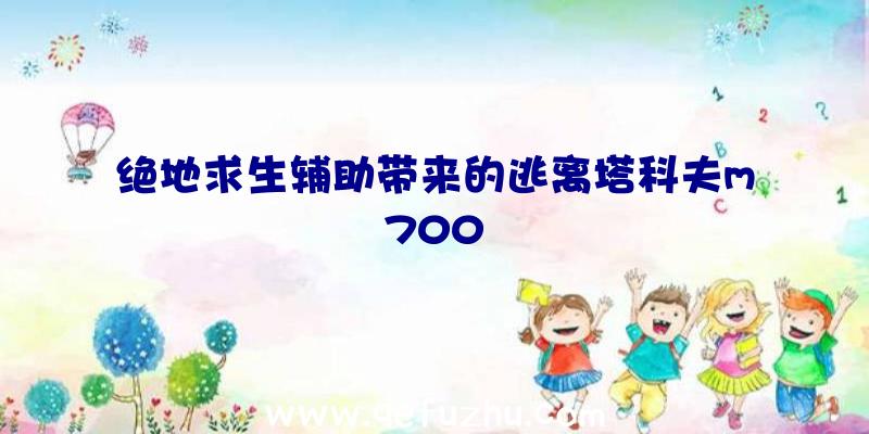 绝地求生辅助带来的逃离塔科夫m700