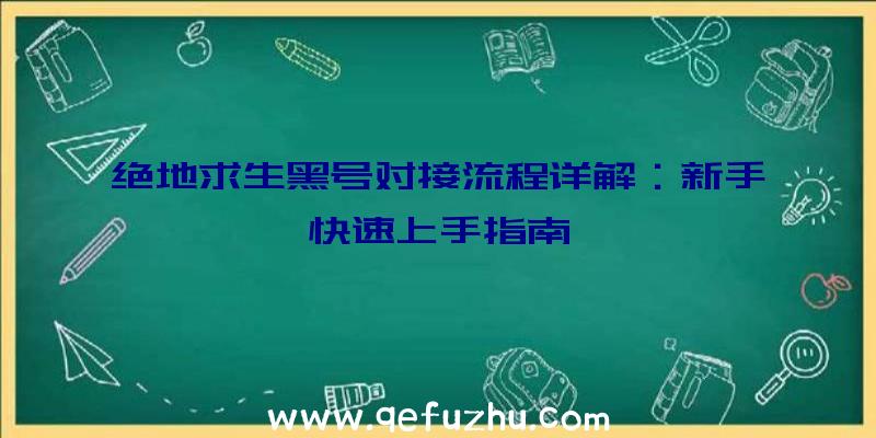 绝地求生黑号对接流程详解：新手快速上手指南
