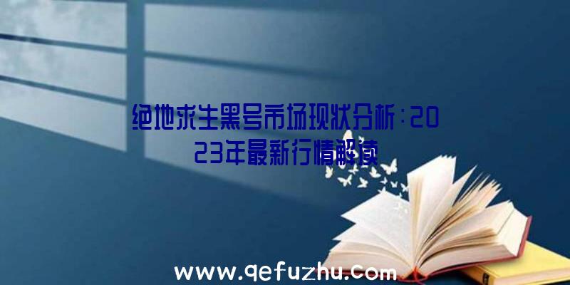 绝地求生黑号市场现状分析：2023年最新行情解读