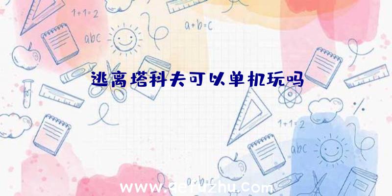 逃离塔科夫可以单机玩吗